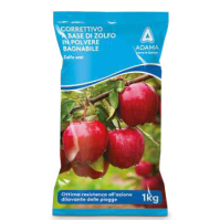 ZOLFO MICRONIZZATO IN POLVERE BAGNABILE 92% ZOLFO WET ADAMA 1KG